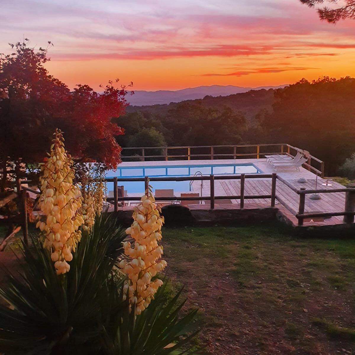 La nostra yucca in fiore🤩🤩🤩🌺🌺🌺
#poderecamaiano #camaianovibes #tuscany #sassofortino #roccastrada #maremma #ioscelgomaremma #travelitaly #bedandbreakfastitaly #bedandbreakfast #liveauthentic #livethelittlethings #travelgram
#discovermaremma #toscanavacanza #igertoscana #tuscanygram
#maremmagram #maremmalocal