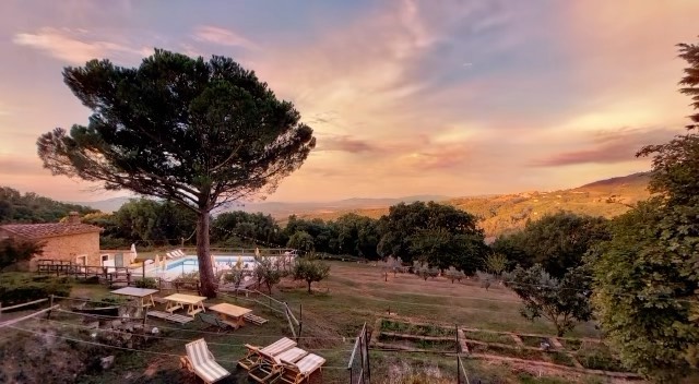Timeless❤️
@poderecamaiano
#poderecamaiano #camaianovibes #tuscany #sassofortino #roccastrada #maremma #travelitaly #hospitalityinMaremma #bedandbreakfastitaly #bedandbreakfast #liveauthentic #livethelittlethings #travelgram
#discovermaremma #toscanavacanza #igertoscana #tuscanygram
#maremmagram #maremmalocal