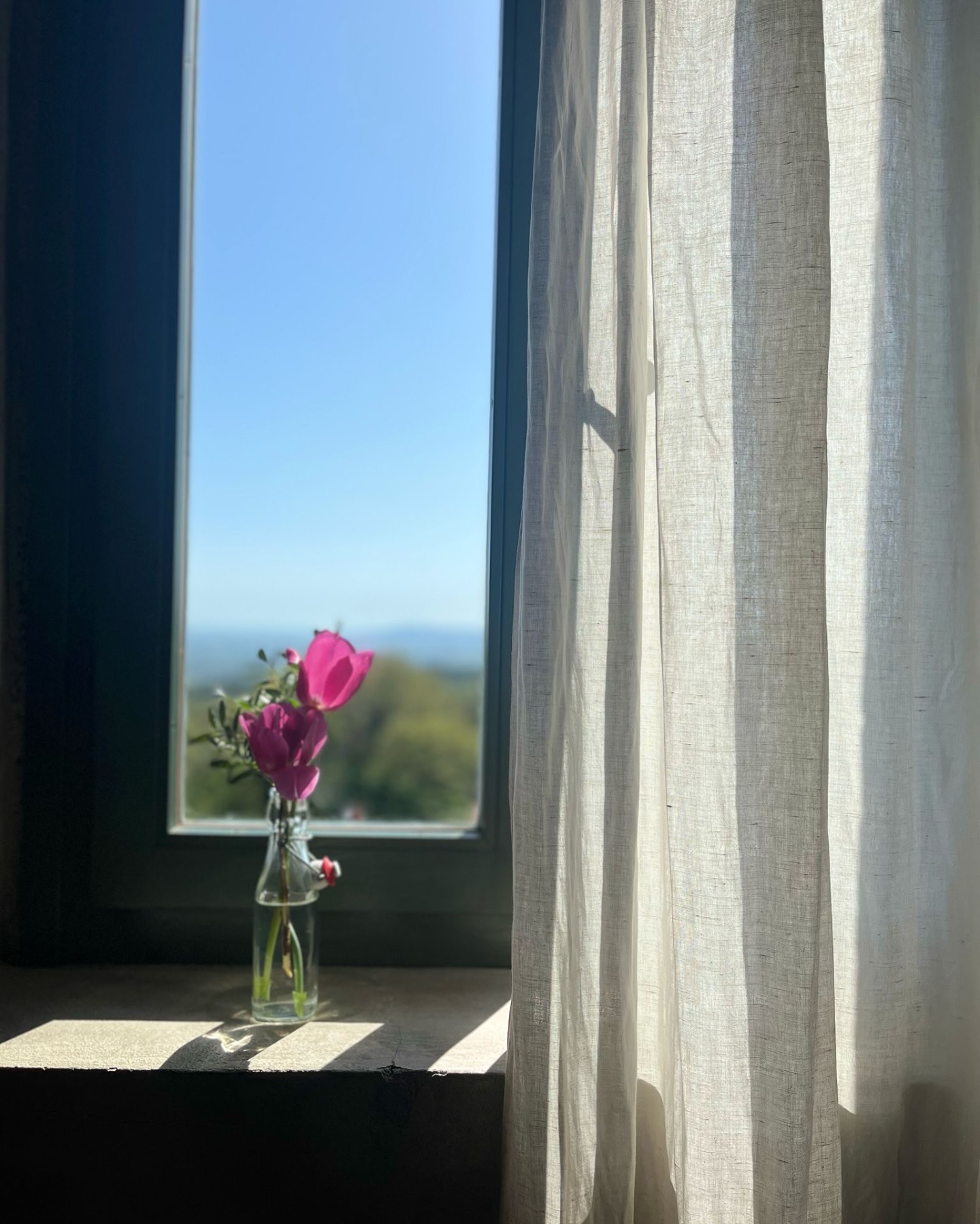 B&B Podere Camaiano is waiting for you ♥️
To check availability : info@poderecamaiano.it
Thanks to @_missgravity_ for the beautiful picture!🤩
#poderecamaiano #camaianovibes #tuscany #sassofortino #roccastrada #hospitalityinMaremma #travelitaly #bedandbreakfastitaly #bedandbreakfast #liveauthentic #livethelittlethings #travel gram
#discovermaremma #toscanavacanza #igertoscana #tuscanygram
#maremmagram #maremmalocal