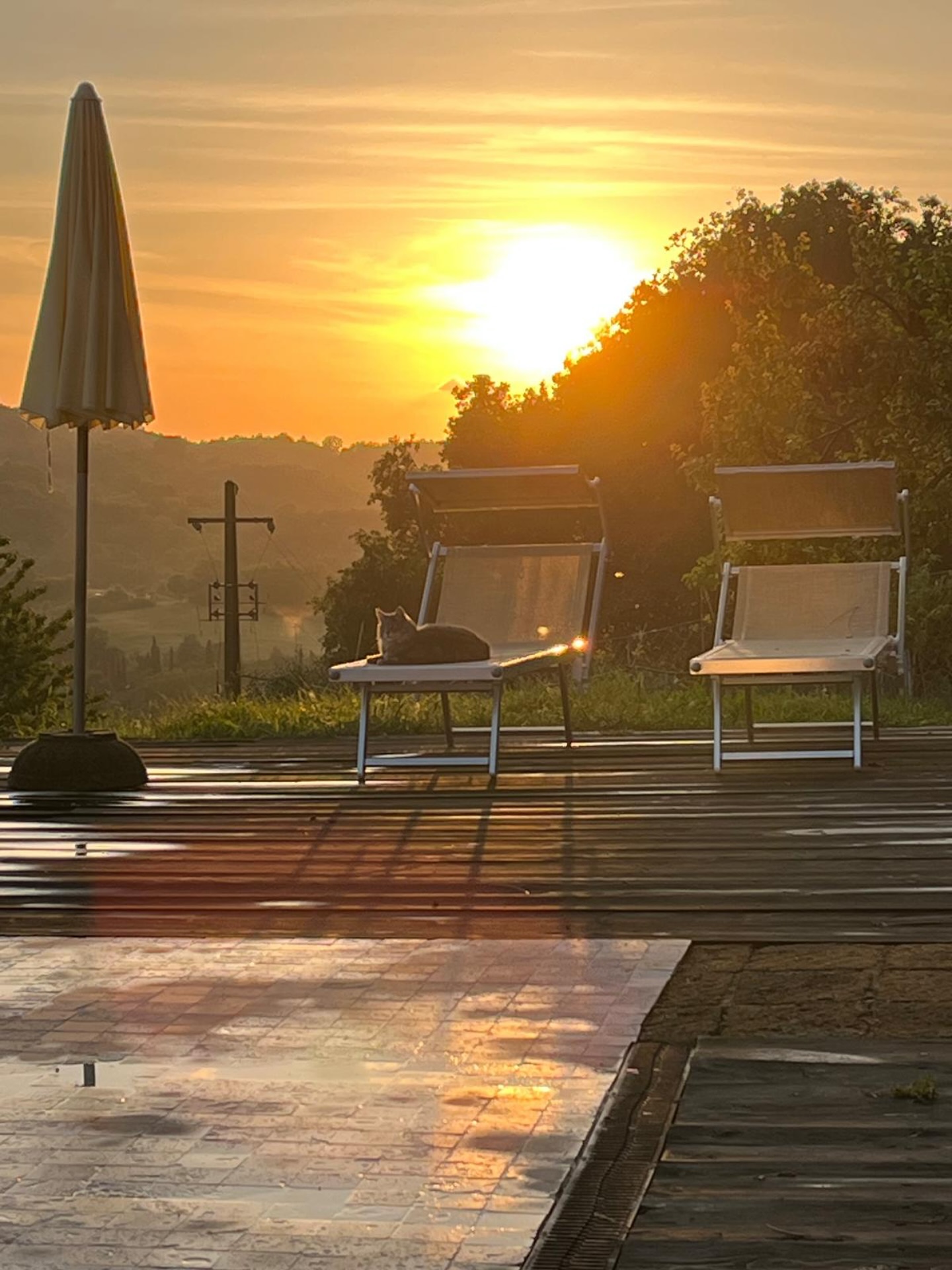 Ciciu on sunset 🤩 @poderecamaiano
Thanks to our guest Emmanuel for this shot (and lots of others beautiful pictures I’ll post soon)😍
#poderecamaiano #camaianovibes #tuscany #sassofortino #roccastrada #hospitalityinMaremma #travelitaly #bedandbreakfastitaly #bedandbreakfast #liveauthentic #livethelittlethings #travel gram
#discovermaremma #toscanavacanza #igertoscana #tuscanygram
#maremmagram #maremmalocal