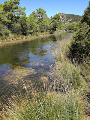 Regionalpark der Maremma