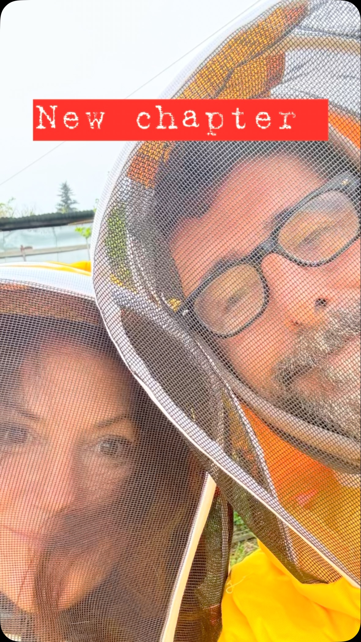 Auguriamoci solo che l’ape regina sia geneticamente portata alla calma… ed insegni a tutti i 10.000 figlioli di avere pazienza con noi🥰😬
New adventure @poderecamaiano 🤩🤩🤩
#agricamaiano #poderecamaiano #beelover #lovelittlethings #camaianovibes #roccastrada #sassofortino #maremmahospitality #tuscany